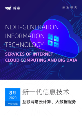 鲸准研究-新一代信息技术行业:互联网与云计算、大数据服务.pdf
